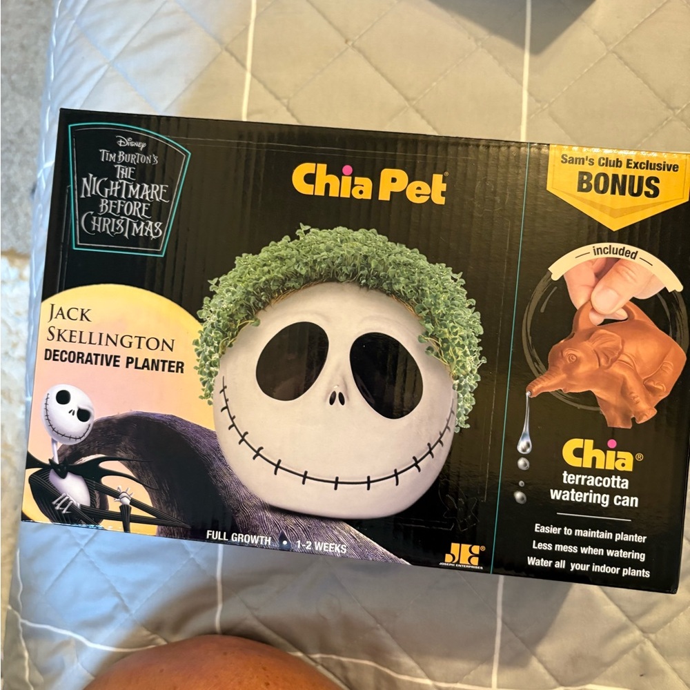 Jack Skellington Chia Pet Decorative Planter with terracotta watering can